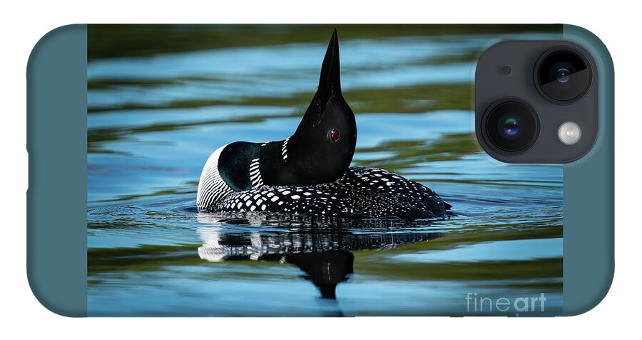 Loon iPhone 14 Case featuring the photograph Loon on Point by Ron Long Ltd Photography