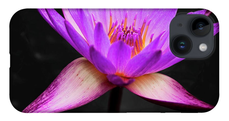 3scape iPhone 14 Case featuring the photograph Lotus by Adam Romanowicz