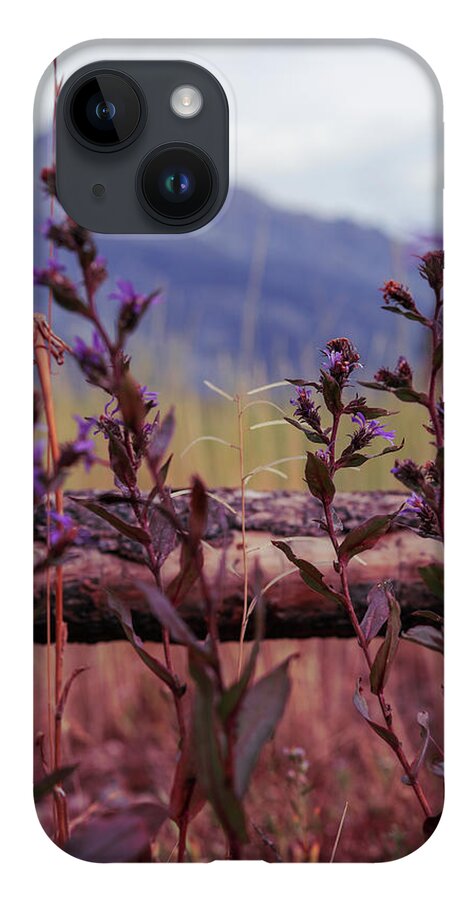 Mountain iPhone 14 Case featuring the photograph Lovely Lavender in Front by Go and Flow Photos