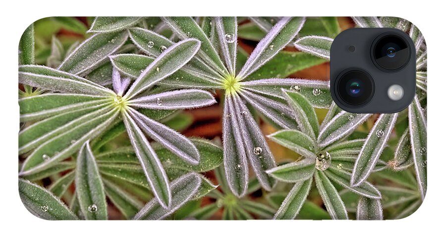 Lupine iPhone 14 Case featuring the photograph Lupine Leaves by Bob Falcone