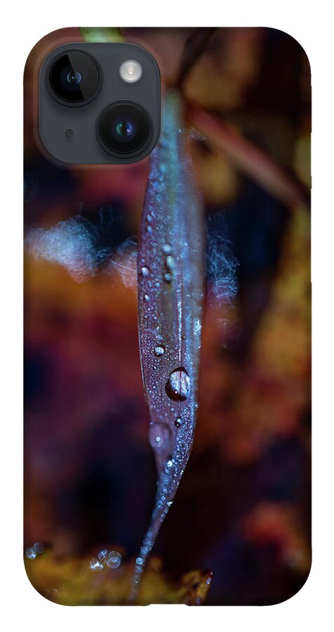 Fall iPhone 14 Case featuring the photograph Macro Photography - Autumn Water Drops by Amelia Pearn