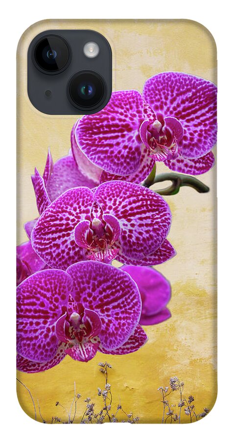 Magenta iPhone Case featuring the photograph Magenta Moth Orchids by Cate Franklyn