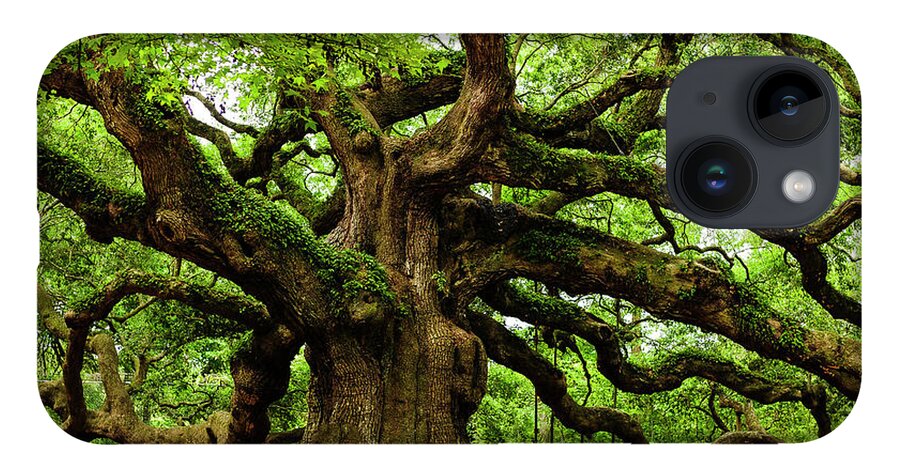 Charleston Tree Angel Oak South Carolina Johns Island Leaves Angel Oak Tree Live Oak Nature Trees Landscape Green Oak Tree Branches Moss Low Country iPhone Case featuring the photograph Magnificent Angle Oak 2 by Louis Dallara