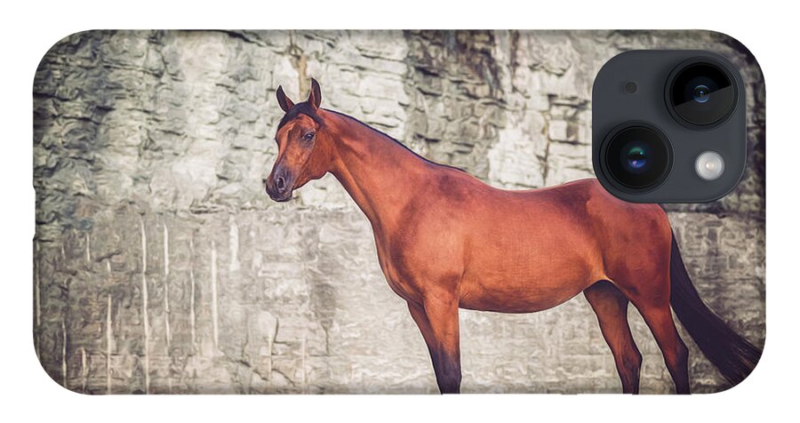 Photographs iPhone 14 Case featuring the photograph Magnum - Horse Art by Lisa Saint