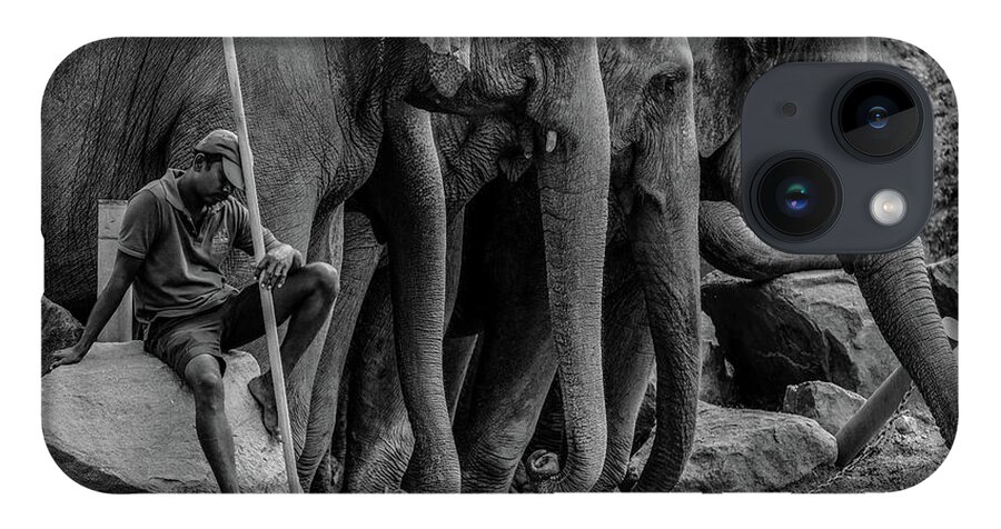 Elephant iPhone 14 Case featuring the photograph Mahout and the Elephants by Arj Munoz