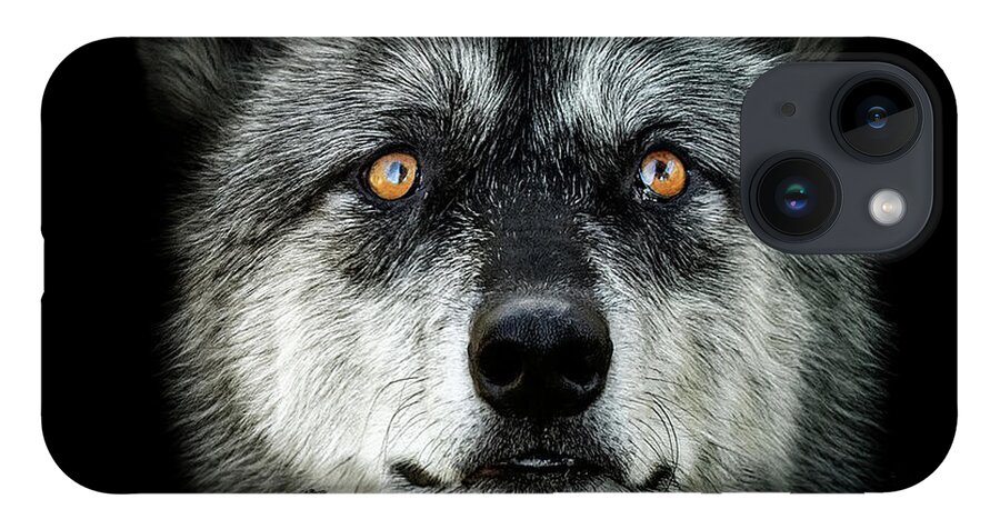 Wolf iPhone 14 Case featuring the digital art Majestic by Maggy Pease