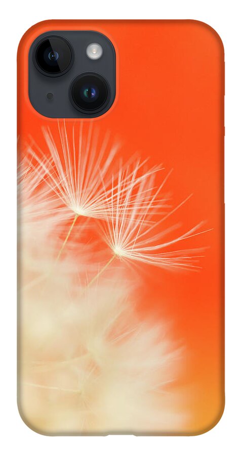 Ideas iPhone 14 Case featuring the photograph Make a Wish - on Orange by Anita Nicholson