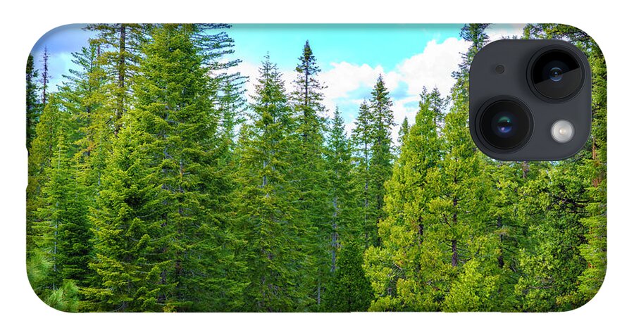 Sequoia Trees iPhone 14 Case featuring the photograph Mariposa Grove in Yosemite 2 by Lindsay Thomson
