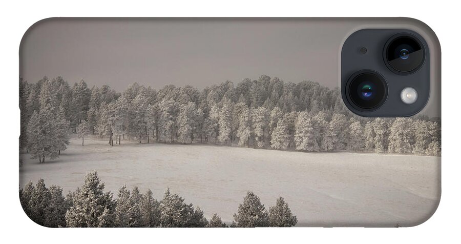 Snow iPhone Case featuring the photograph Mountain Meadow in Winter by Kevin Schwalbe