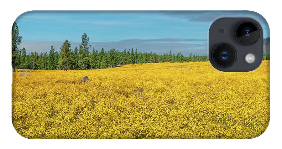 Arizona iPhone Case featuring the photograph Meadow of Yellow Wildflowers by Jeff Goulden