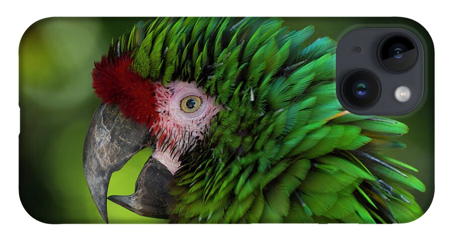 Green iPhone 14 Case featuring the photograph Military Macaw by Carolyn Hutchins