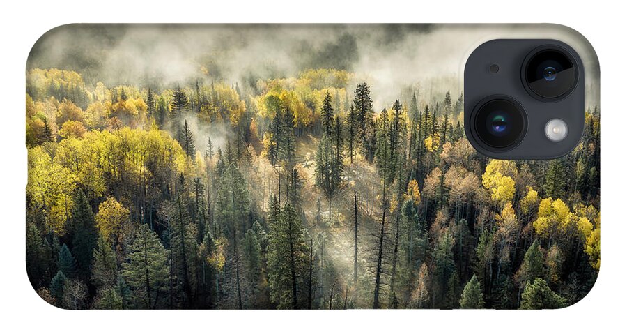 Durango iPhone 14 Case featuring the photograph Misty Forest by Whit Richardson