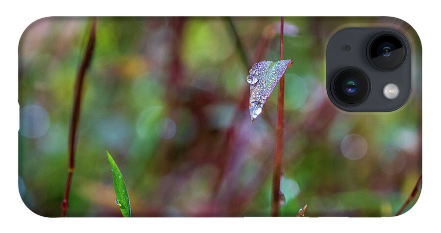 Water Drops iPhone Case featuring the photograph Morning Dew on Grass by Amelia Pearn