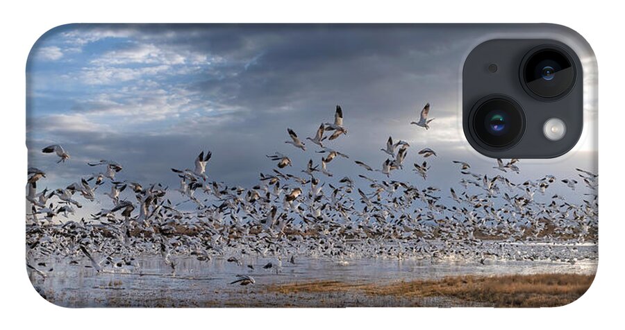 New Mexico iPhone 14 Case featuring the photograph Morning Flight. by Paul Martin
