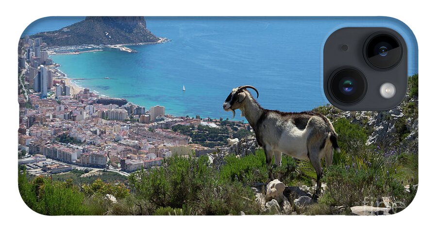 Mountains iPhone 14 Case featuring the photograph Mountain goat looks at Calpe and the Mediterranean Sea by Adriana Mueller