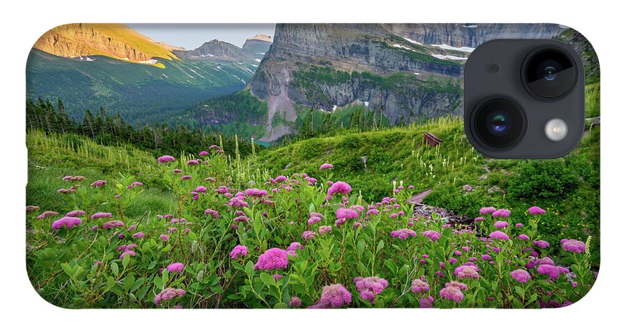 Flowers iPhone 14 Case featuring the photograph Mountain meadow by Robert Miller