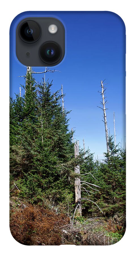 Balsam Woolly Adelgid iPhone 14 Case featuring the photograph Mountain Pines by Phil Perkins