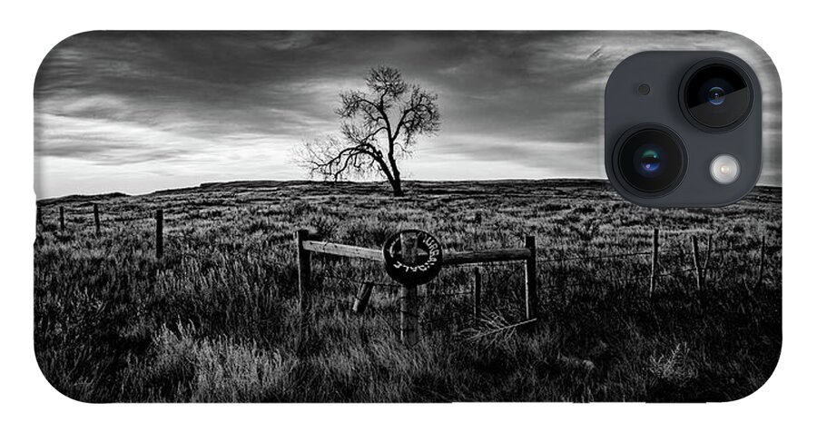  iPhone 14 Case featuring the photograph Murray Tree Monochrome by Darcy Dietrich