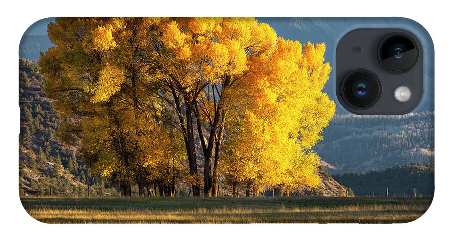 Fall iPhone 14 Case featuring the photograph My All Seasons Favorite by Denise Bush