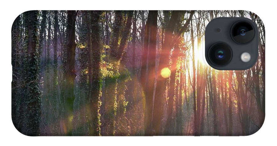 Nature iPhone 14 Case featuring the photograph Mystical Forest And Sun's Rays by Leonida Arte