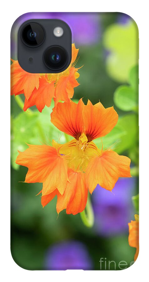 Nasturtium iPhone 14 Case featuring the photograph Nasturtium Phoenix Flowers by Tim Gainey