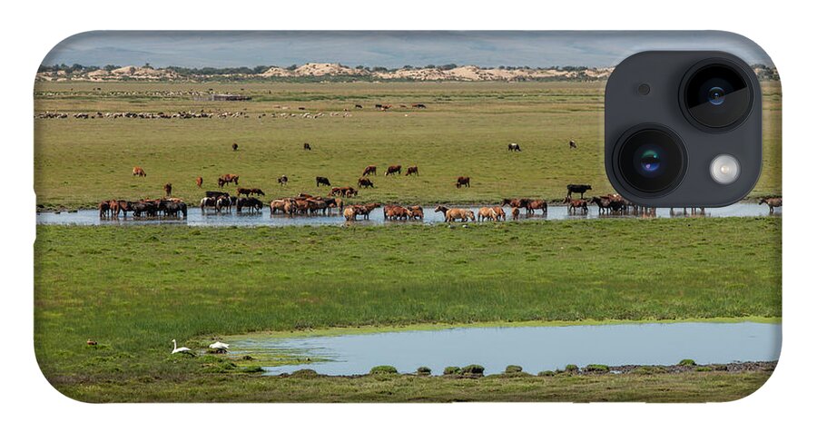 Herders Lifestyle iPhone 14 Case featuring the photograph Nature Mongolia by Bat-Erdene Baasansuren