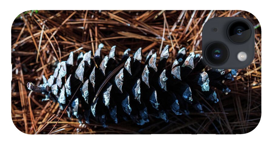 Nature iPhone 14 Case featuring the photograph Nature Photography - Pine Cone 2 by Amelia Pearn