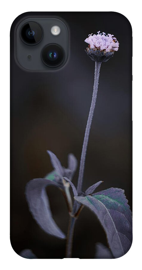 Flowers iPhone 14 Case featuring the photograph Nature Pic 3 by Gian Smith