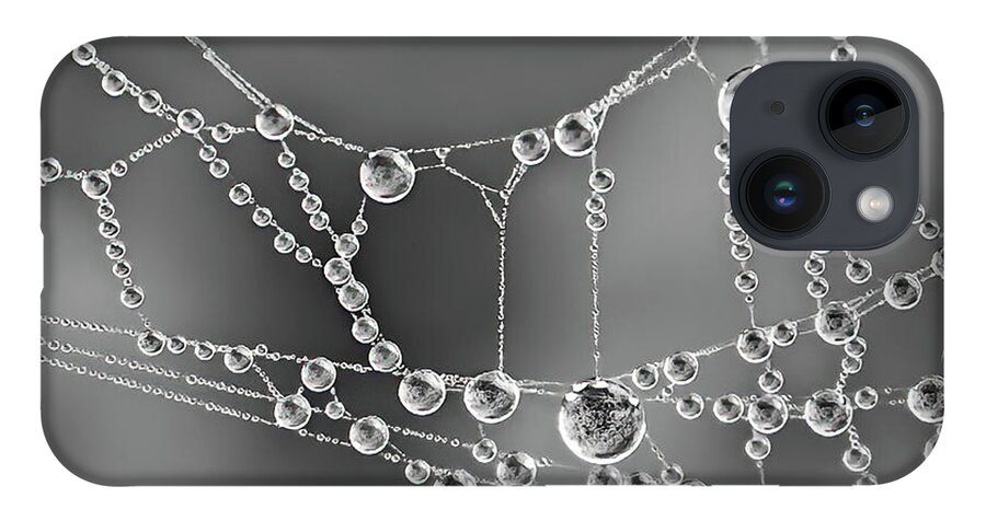 Spider Web iPhone Case featuring the photograph Natures Jewels by Shara Abel