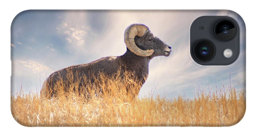 Bighorn Sheep iPhone 14 Case featuring the photograph Nature's Ram by Jerry Cahill