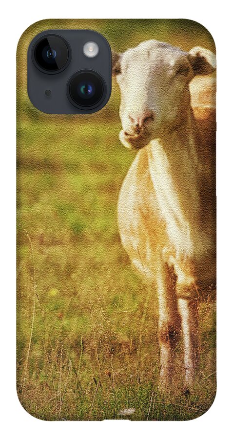 Sheep iPhone 14 Case featuring the photograph Newfie by Tatiana Travelways