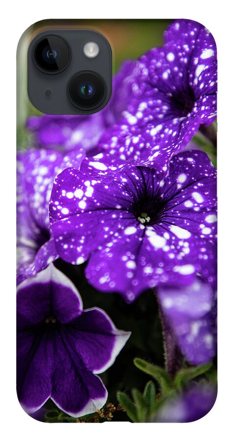 Flowers iPhone 14 Case featuring the photograph Night Sky Petunias by Denise Kopko