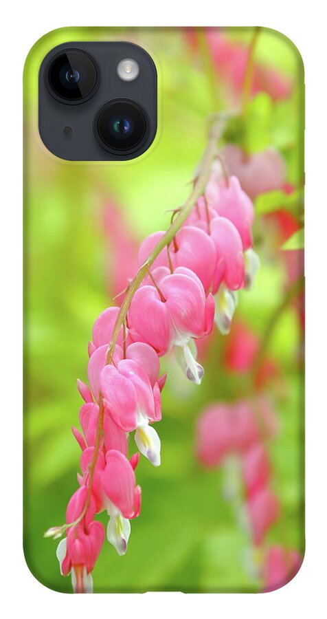 Plant iPhone 14 Case featuring the photograph Oh My Bleeding Heart by Lens Art Photography By Larry Trager