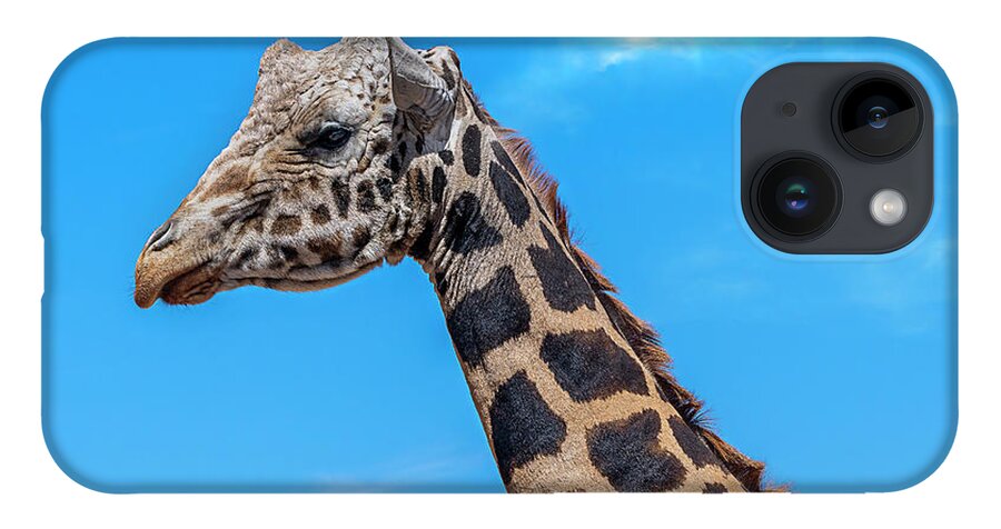  iPhone 14 Case featuring the photograph Old Giraffe by Al Judge