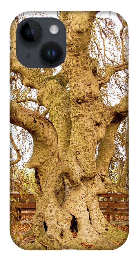 Old Tree Wood Fence Autumn iPhone Case featuring the photograph Old Tree by John Linnemeyer