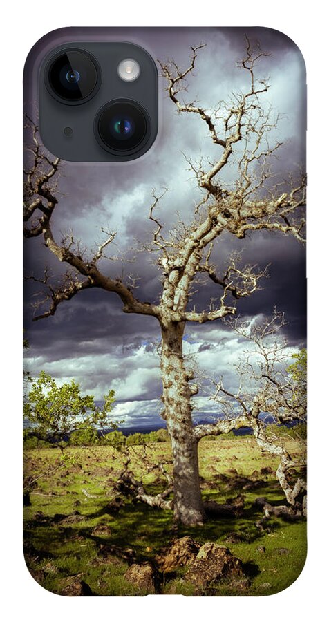Nature iPhone 14 Case featuring the photograph Ominous Oak by Mike Lee