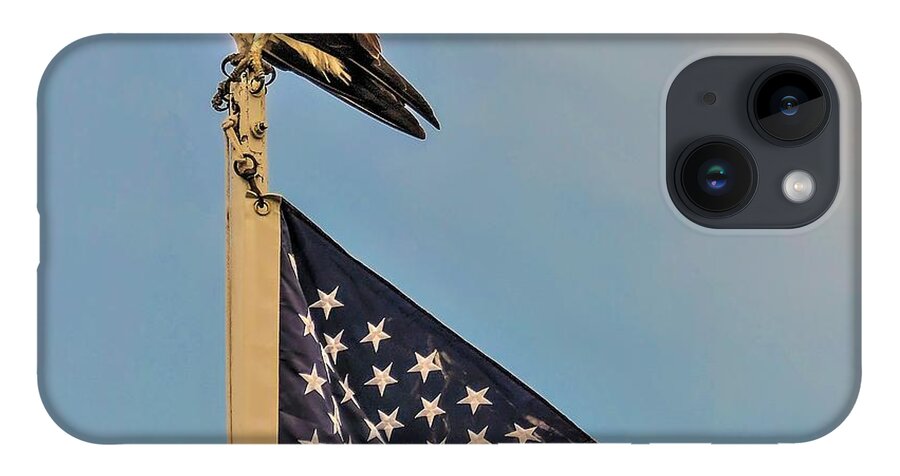 Ospray Bird Feathers Flag iPhone Case featuring the photograph Osprey10a by John Linnemeyer