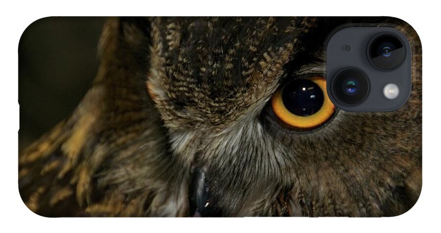 Animal iPhone 14 Case featuring the photograph Owl Be Seeing You by Melissa Southern