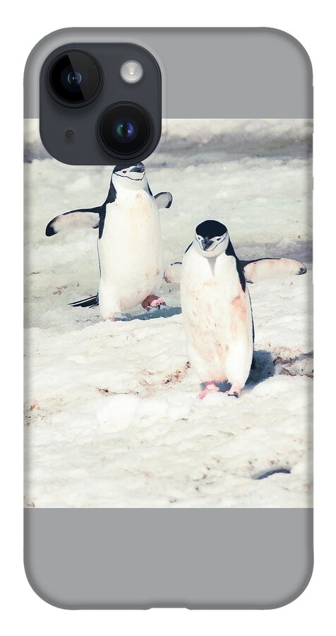 03feb20 iPhone Case featuring the photograph Palaver Point Welcoming Party Pair by Jeff at JSJ Photography