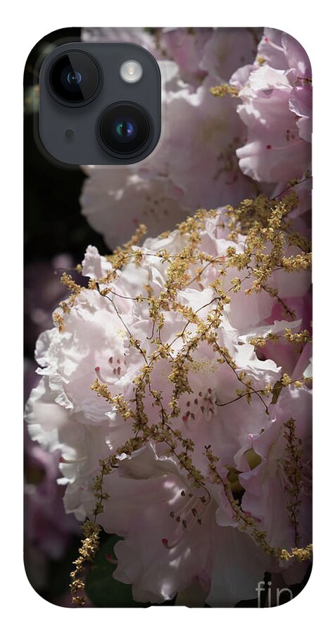 Rhododendron iPhone Case featuring the photograph Pale pink rhododendron flowers 2 by Adriana Mueller
