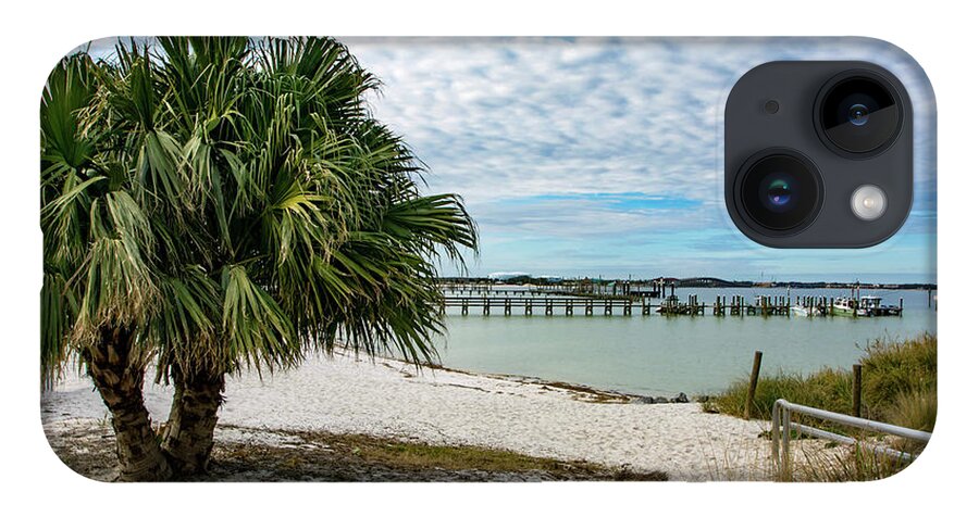 Palm iPhone 14 Case featuring the photograph Palm Tree on Quietwater Beach by Beachtown Views