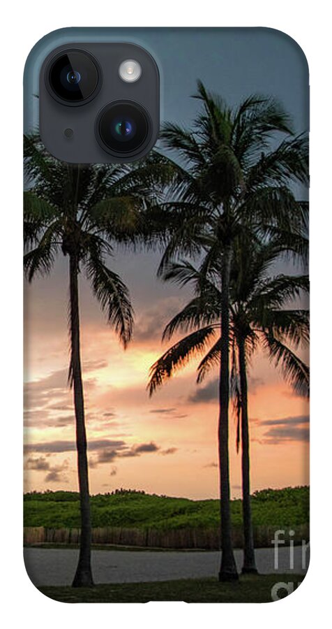 Sunset iPhone Case featuring the photograph Palm Tree Sunset, South Beach, Miami, Florida by Beachtown Views