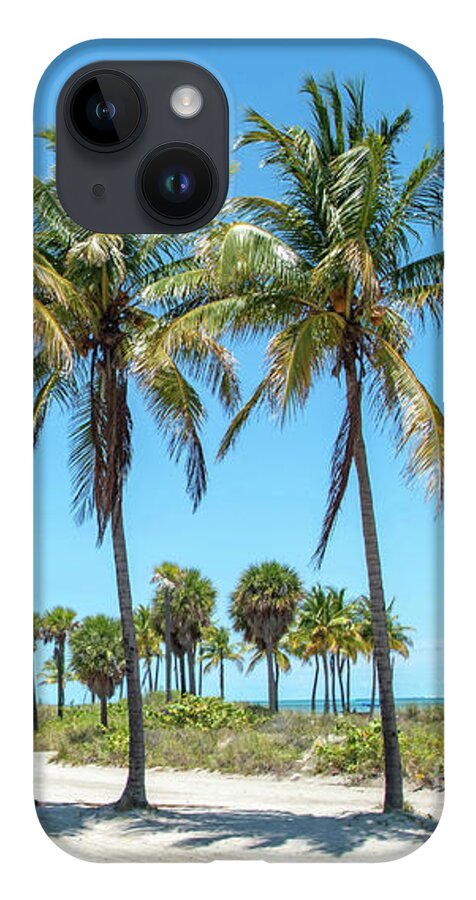 Palm iPhone Case featuring the photograph Palm Trees at Crandon Park Beach in Key Biscayne Florida by Beachtown Views