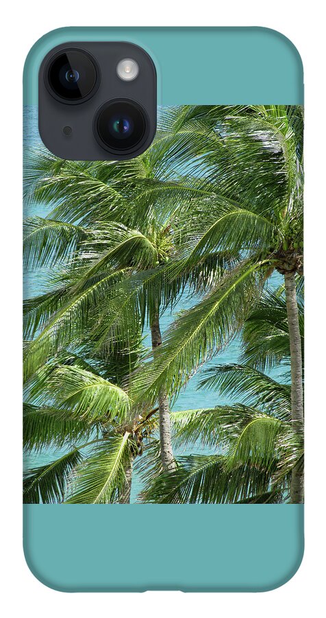 Palm iPhone 14 Case featuring the photograph Palm Trees by the Ocean by Corinne Carroll