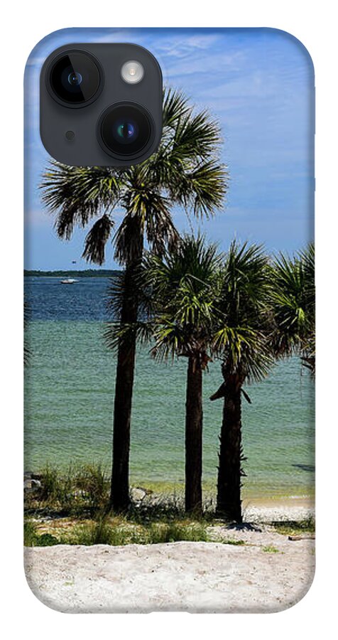Palm iPhone Case featuring the photograph Palm Trees on Pensacola Beach by Beachtown Views