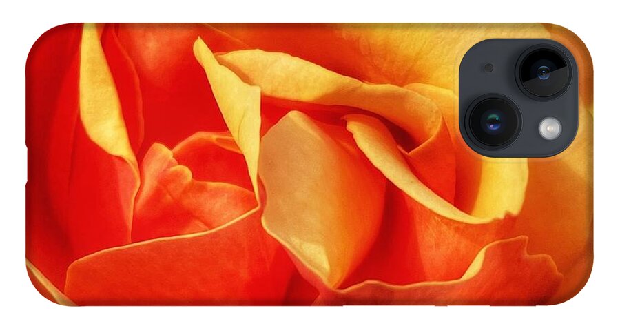 Rose iPhone 14 Case featuring the photograph Peach Rose by Wendy Golden
