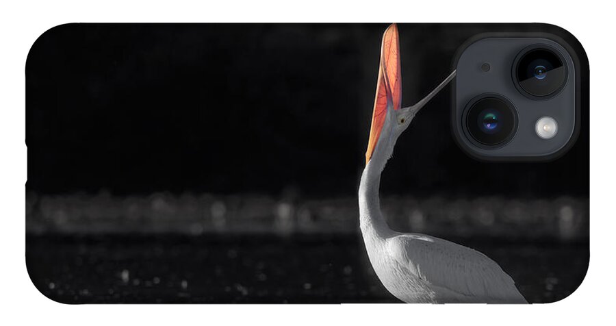 American White Pelican iPhone 14 Case featuring the photograph Pelican Pouch. by Paul Martin