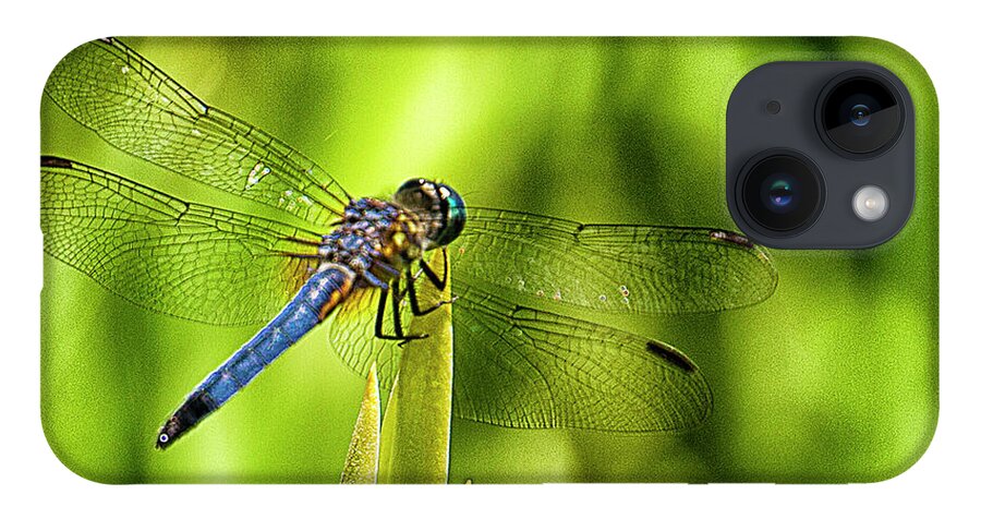 Dragonfly iPhone Case featuring the photograph Pensive Dragon by Bill Barber