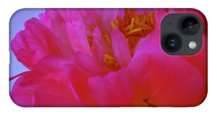Peony iPhone 14 Case featuring the photograph Peony Blossoms in Spring 6 by Lindsay Thomson