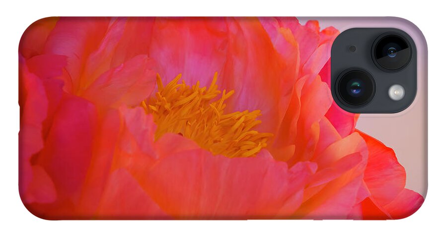Peony iPhone 14 Case featuring the photograph Peony Blossoms in Spring 8 by Lindsay Thomson